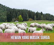 Hewan Apa Saja Yang Masuk Surga Menurut Islam